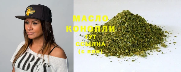 мдпв Бородино