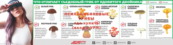 мдпв Бородино