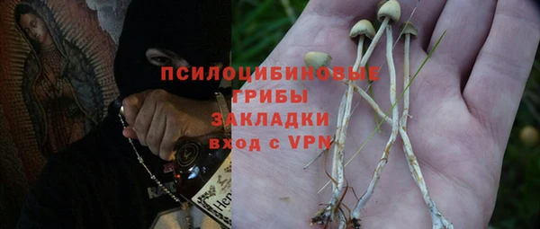2c-b Верхнеуральск