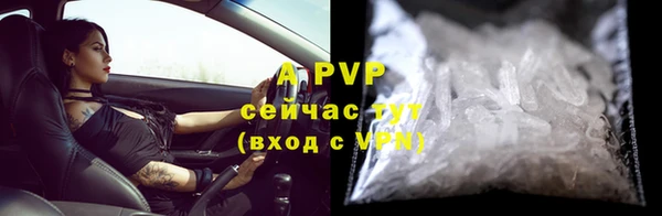 Альфа ПВП Верея