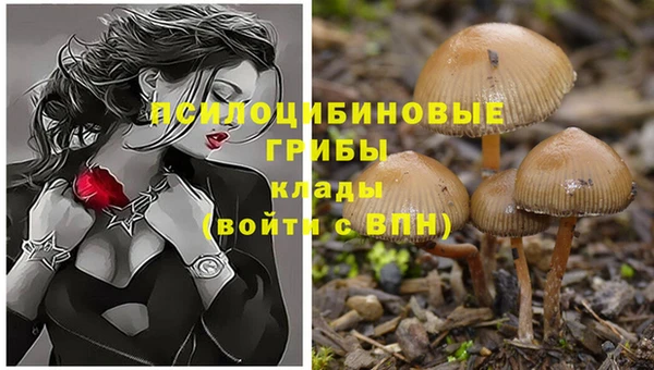 мдпв Бородино