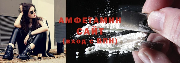 мдпв Бородино