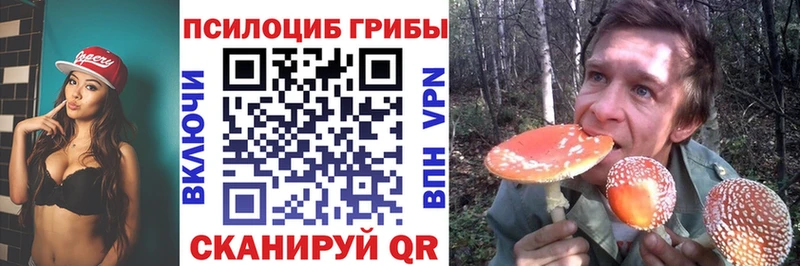 цены наркотик  ОМГ ОМГ tor  Галлюциногенные грибы GOLDEN TEACHER  Северобайкальск 