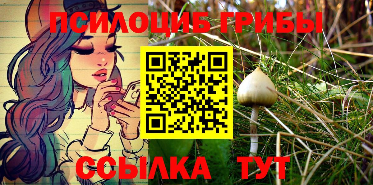 Северобайкальск  где продают   Вход с VPN  Галлюциногенные грибы Psilocybine cubensis 